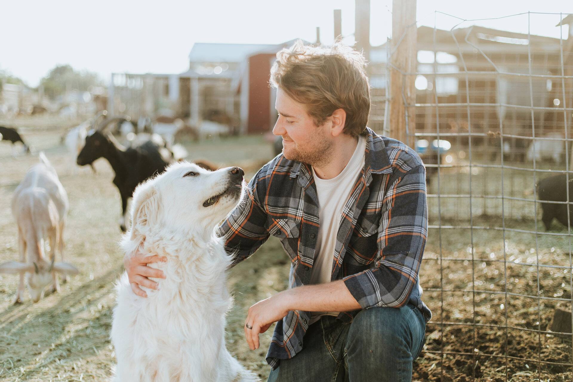 Mann mit Hund